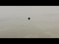 Зимовье уточки на Нальчикском курортном озере. Нальчик зимой.