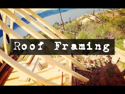 how-to-build-a-log-cabin:-roof-framing