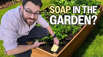 Stupid Garden Tips That Work Surprisingly Well