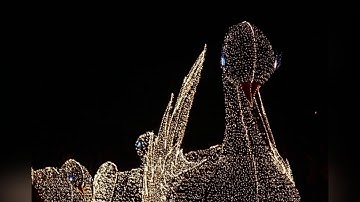 Main Street Electrical Parade Original Music Loop (Swan Lake) [10+ Minutes]