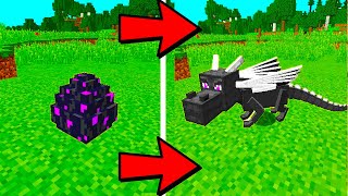 How to Hatch The Ender Dragon Egg in Minecraft