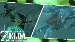 Wind Temple Boss Fight: Colgera - The Legend of Zelda: Tears of the Kingdom