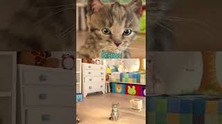 PLAY FUN WITH ANIMATED LITTLE KITTEN PET IN YOUR SMARTPHONE!