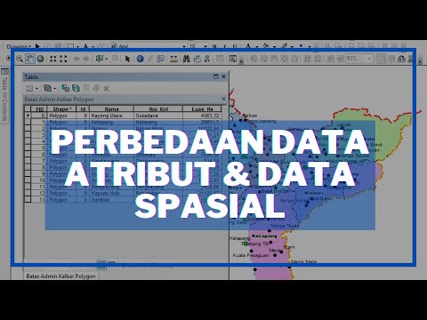 Video: Apa perbedaan antara bidang dan atribut?