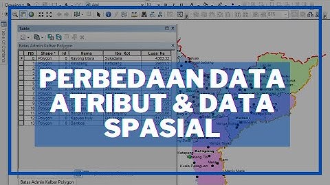 Perbedaan Dasar Data Atribut & Data Spasial (Vektor & Raster) | Perpetaan & SIG