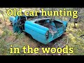 Old car hunting in the woods