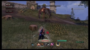 ESO:  Lag or Bug?  The Range of Wrecking Blow!!