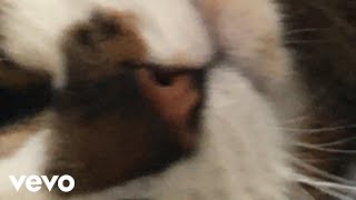 odin - odin test video 8