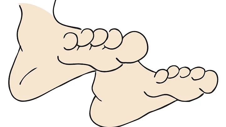 Learn Body Parts by ELF Learning - Parts Of The Body Song For Children - ELF Kids Videos