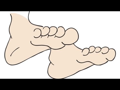 Learn Body Parts by ELF Learning - Parts Of The Body Song For ...