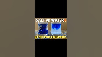 Salt vs Fresh Water | Amazing Ink Diffusion Science Experiment