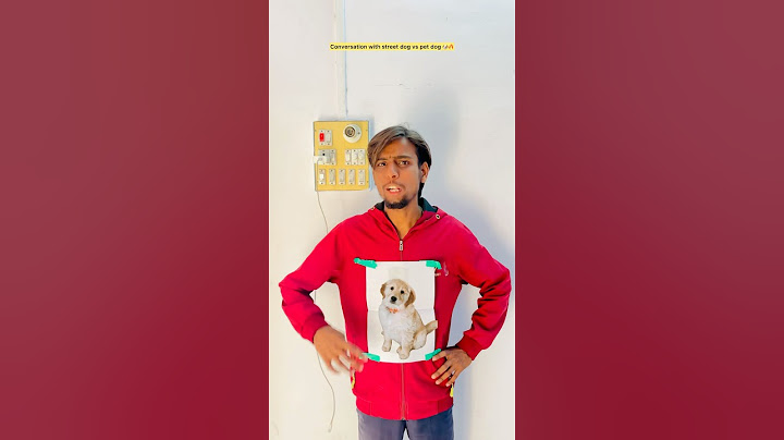 Conversation with street dog vs pet dog🐶😂| #shorts #indian #relatable #dog