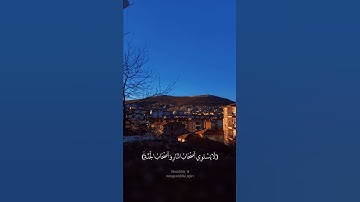 نور الدين سليم تلاوة مميزة جدا بصوت عذب راحة للقلب ❤️