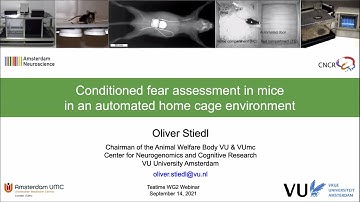 Conditioned fear assessment in mice in an automated home cage environment