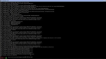 #HowTo Avoid Blank Pages When Integrating Identity Server 4.5 with Access Manager 4.3