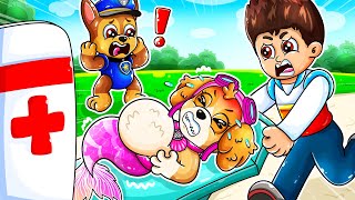 SKYE IS BREWING CUTE PREGNANT MERMAID & CUTE BABY!! ‍♀ Paw Patrol Ultimate Rescue  Rainbow 3