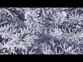 "Winter" by Michele McLaughlin ©2018 (Official Video)