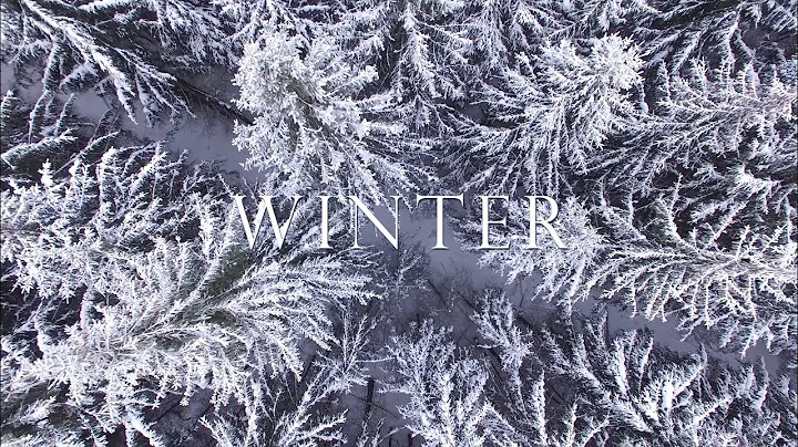 "Winter" by Michele McLaughlin 2018 (Official Video)
