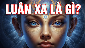 Bí Ẩn 7 Luân Xa: Khai Mở Năng Lượng Vô Hạn Trong Cơ Thể Bạn!