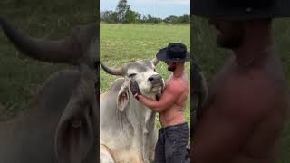 Happy HUMP day 🤣🤠🙌🏽