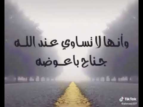 نحن بين رحلة غياب ورحلة حضور