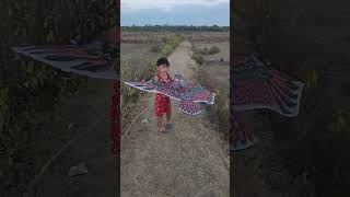 Eagle Kite flying in the open field at dusk