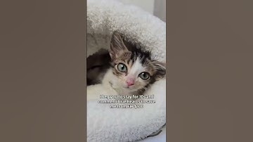 For Any Support Click Our Link In Bio To Help. All Pledges You Make To Support Are Appreciated!🙏