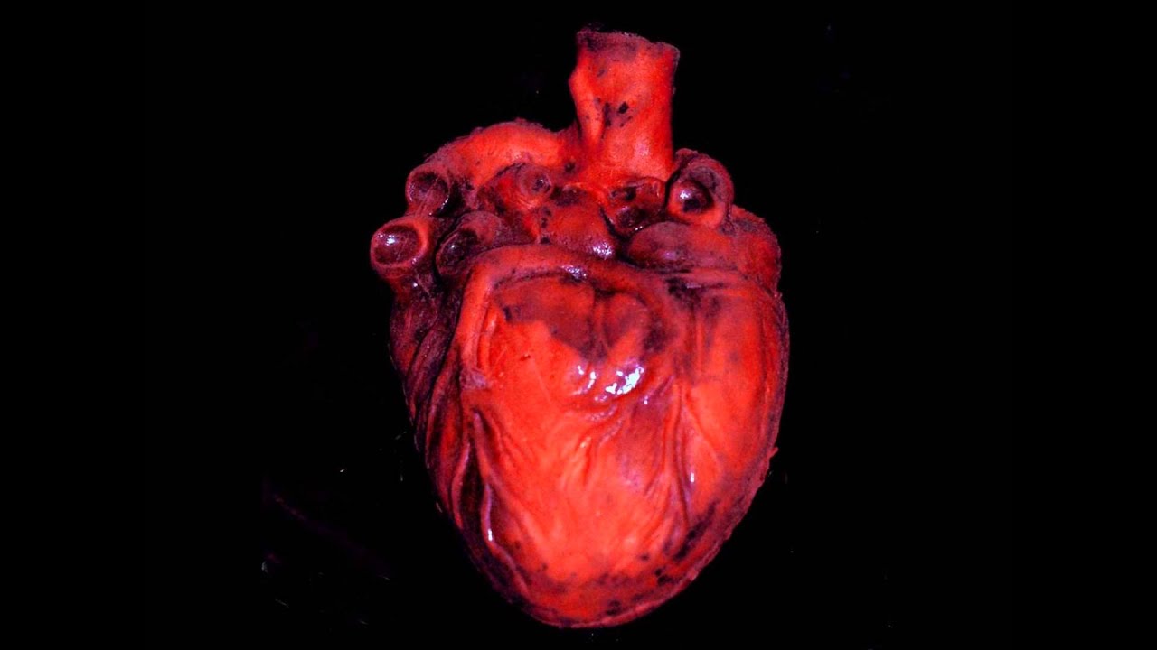 Watch Rekt Love: The Sound of True Love on YouTube Watch Rekt Love: The Sound of True Love on YouTube