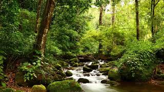 Common SQL Server Mistakes and How to Avoid Them   Tim Radney