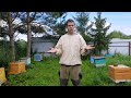 Большое видео о том, как выбрать качественный мёд. 🍯