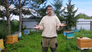 Большое видео о том, как выбрать качественный мёд. 🍯