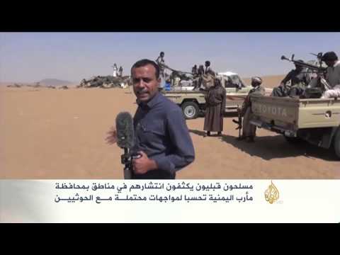 مسلحون قبليون يكثفون انتشارهم في مناطق بمحافظة مأرب