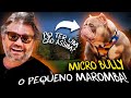 AMERICAN BULLY MICRO: PEQUENO NO TAMANHO, GIGANTE NA PERSONALIDADE!