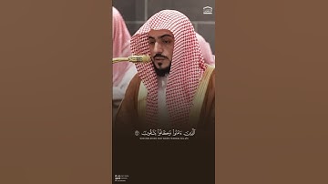 ألا إن أولياء الله لا خوف عليهم ولا هم يحزنون #سورة #يونس #الوليد_الشمسان #القرآن_الكريم #حالات
