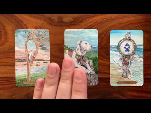 Daily Tarot Reading