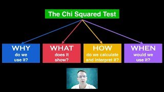 Chi Squared Test screenshot 4