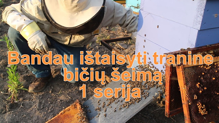 Bandau ištaisyti tranine bičių šeimą 1 serija