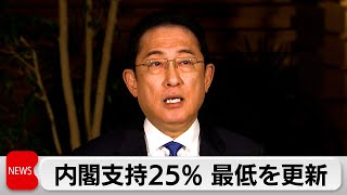 2月世論調査　内閣支持25% 最低を更新（2024年2月26日）