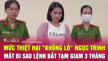 Mức thiệt hại "khổng lồ" Ngọc Trinh mất đi sau lệnh bắt tạm giam 3 tháng | Nghệ An TV