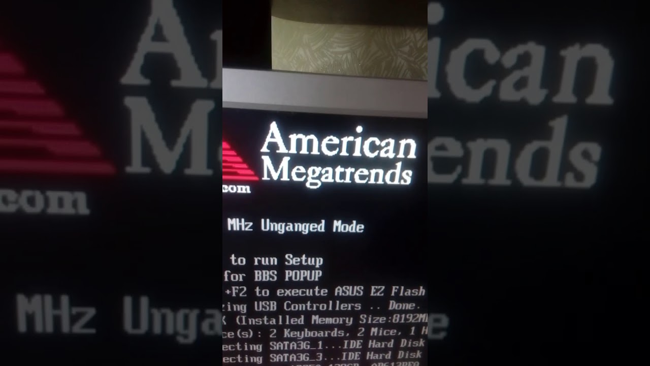 american megatrends bios update 2020