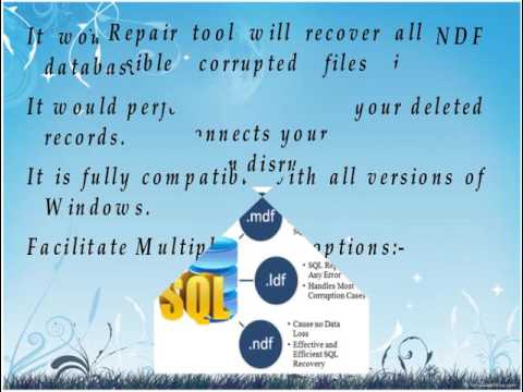 Deleted Records Recovery in SQL : How To Fix ?