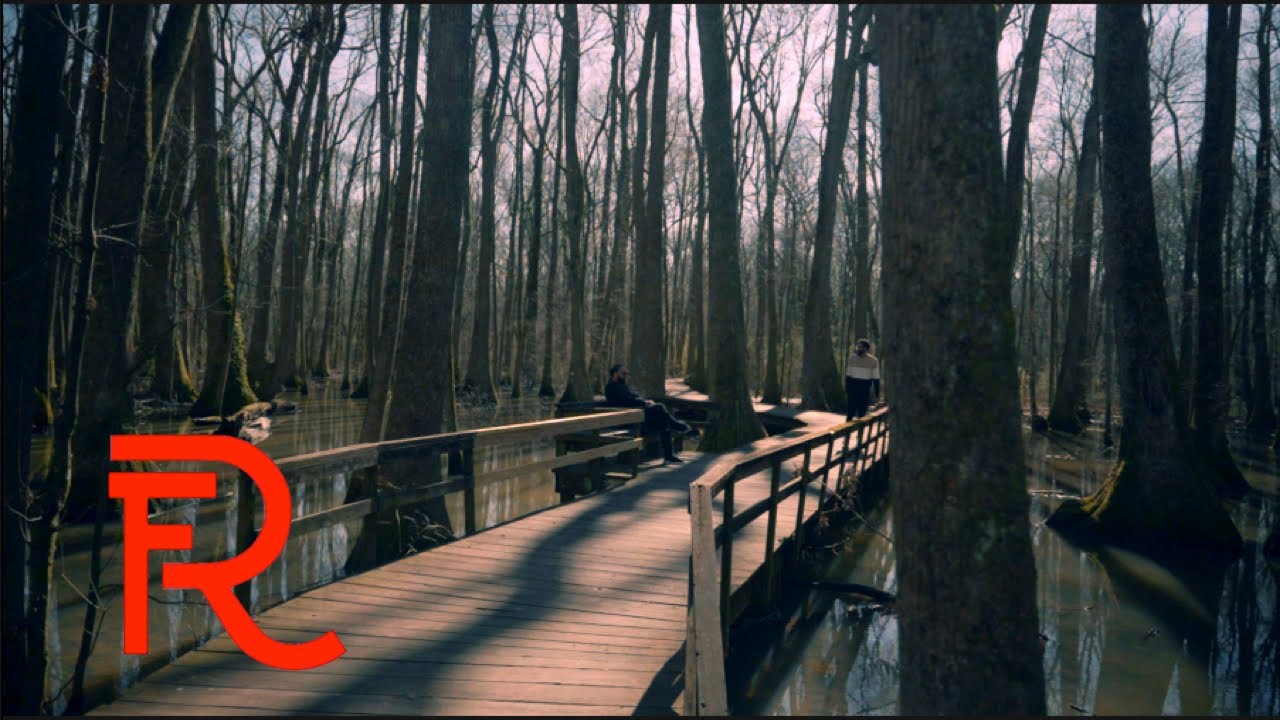 D.Quarles & Torrin - THERAPY (OFFICIAL MUSIC VIDEO)