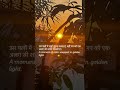 #GoldenHour #CalmVibes #EveningGlow #NatureFrames #SunsetMagic #Serenity