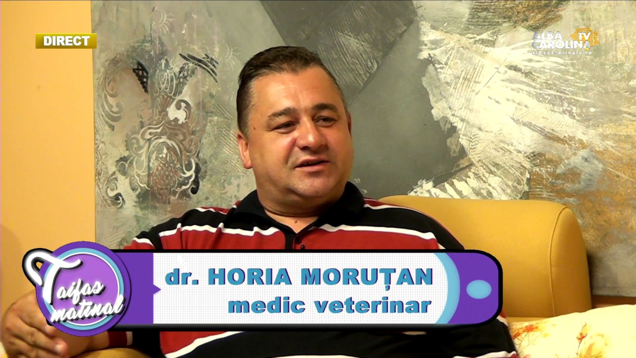 Mircea Havaprimar Alba Iulia, dr. Horea Morutan medic veterinar, pr