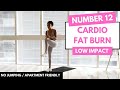 No Jumping - LOW IMPACT CARDIO Workout | Beginner Friendly - No.12