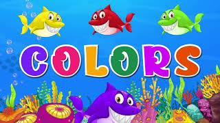 Learn Color Names with Ocean and Colorful Sharks 🌊🦈 | Fun and Exciting Learning for Kids & toddlers🎨 by The Adventure Storytellers | Kids Funtime Learning 15 views 26 minutes ago 3 minutes, 25 seconds