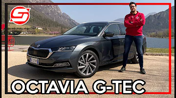 Quanto costa la Skoda Octavia a metano?