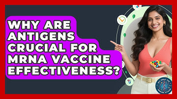 Why Are Antigens Crucial For mRNA Vaccine Effectiveness? - All About the Immune System