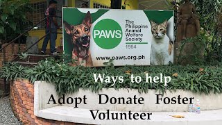 PAWS PH Visit | Philippine Animal Welfare Society | Animal Shelter #animallover #petlover