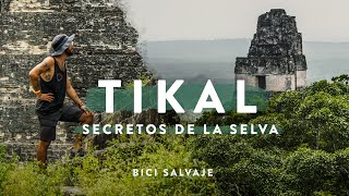 TIKAL y otros SECRETOS ESCONDIDOS en la SELVA MAYA - Ep09